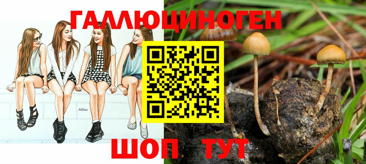 Галлюциногенные грибы мицелий Слободской